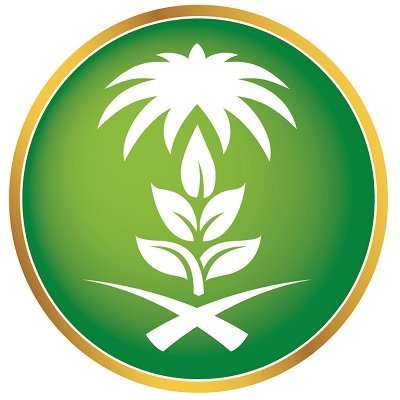 البحث من أجل التأثير واقتصاد المعرفة والتنمية المستدامة