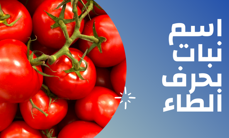 فاكهة بحرف الطاء