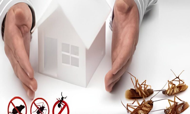شركات رش مبيدات حشرية في جدة 2023