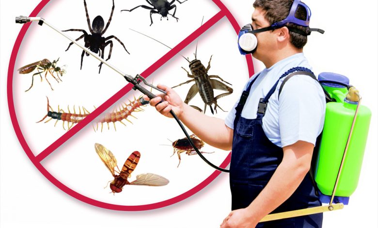 شركات مكافحة الحشرات بالسعودية