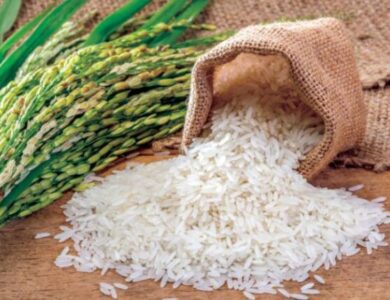 سعر طن الأرز الشعير