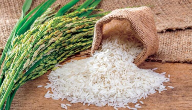 سعر طن الأرز الشعير