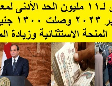 موعد صرف معاشات شهر نوفمبر