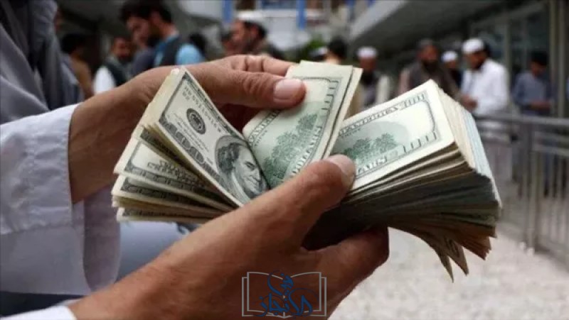 سعر الدولار يستقر أمام الجنيه المصري في بداية تعاملات اليوم