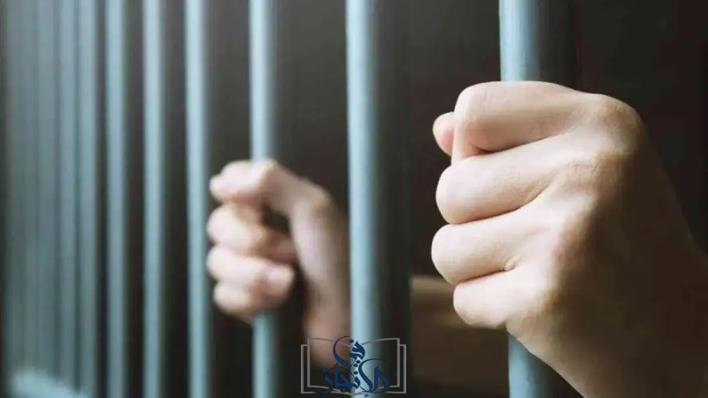 السجن المشدد 3 سنوات لربة منزل خطفت رضيعة وسرقت هاتف والدتها بالمنيا