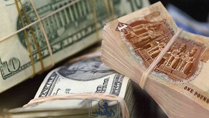 استقرار سعر الدولار أمام الجنيه في بداية تعاملات اليوم الإثنين