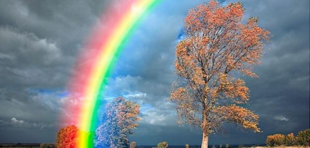 كم عدد ألوان الطبيعة في قوس المطر🌈
