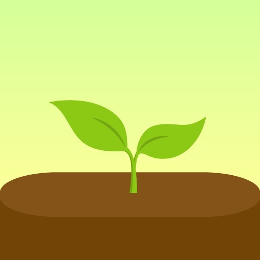 تطبيق Forest